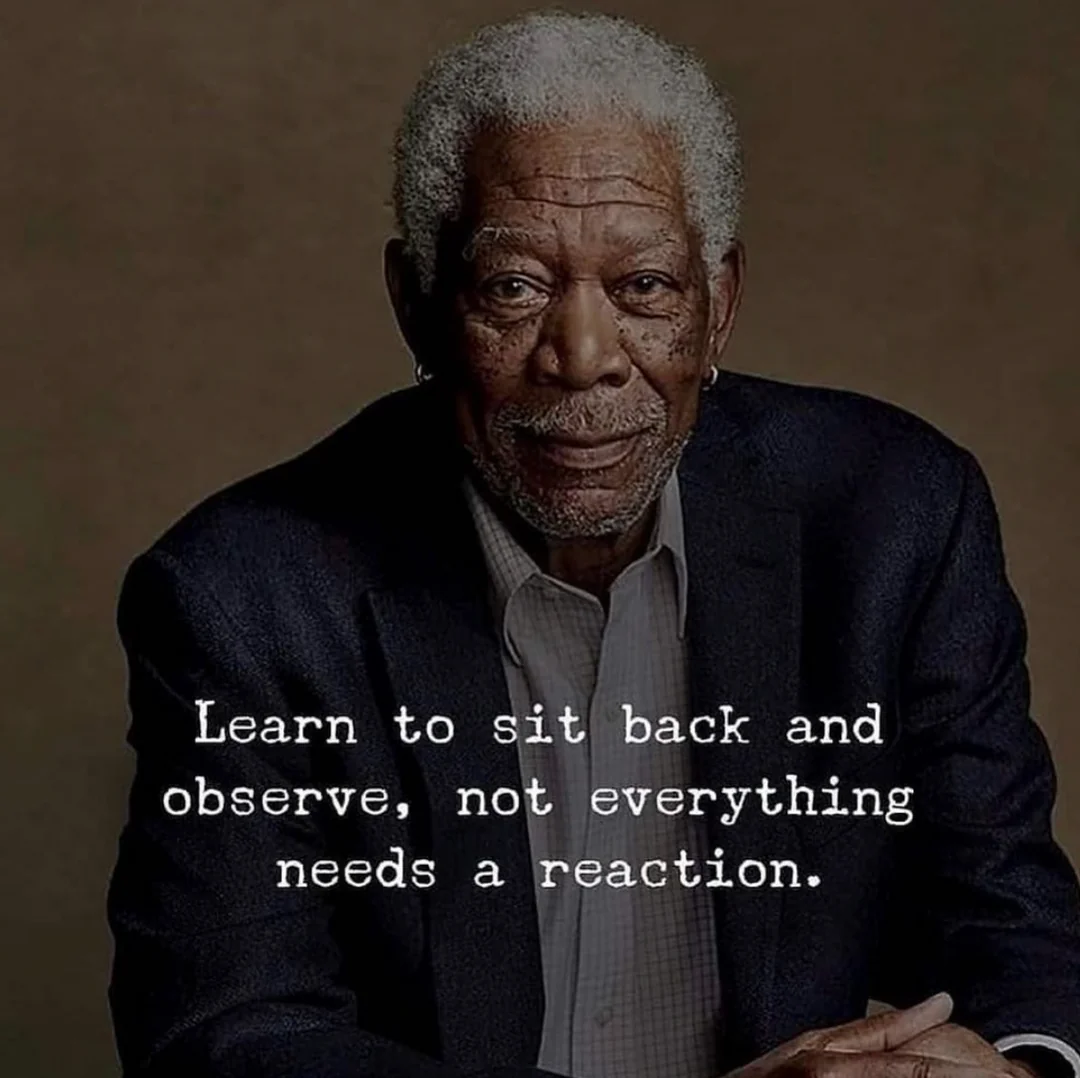 Learn to Sit Back and Observe